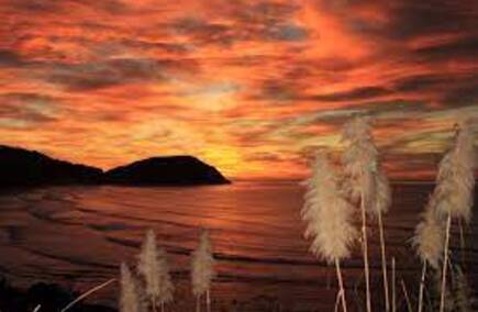 Reviews of services in Gisborne