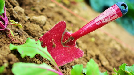 Reviews of Landscapers in New Zealand