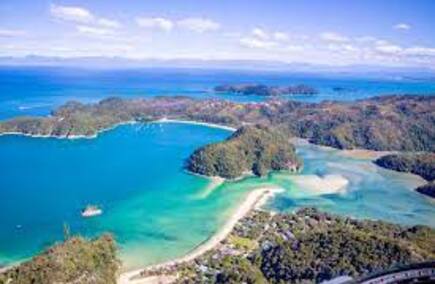 Reviews of services in Nelson