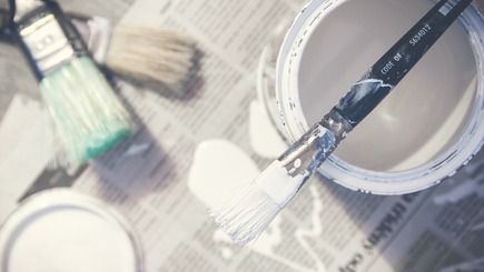 The best Paint stores in Palmerston North - Reviews and rates in New Zealand