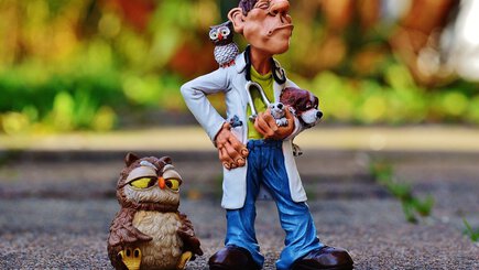 Reviews of Veterinarians in New Zealand