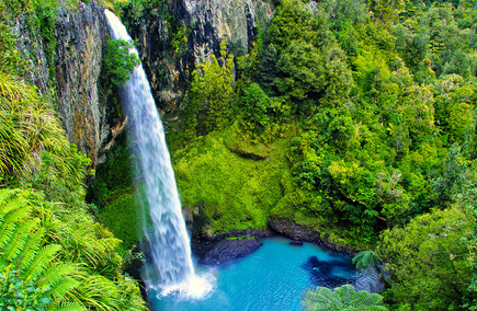 Reviews of services in Waikato