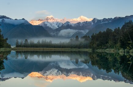 Reviews of services in West Coast